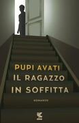 Il ragazzo in soffitta