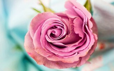 “Se devi amarmi”: la poesia di Elizabeth Barrett Browning dedicata al marito poeta