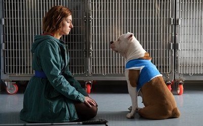 Blanca, ultima puntata: anticipazioni e dove rivedere le puntate