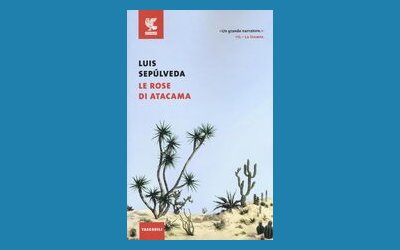 Le rose di Atacama