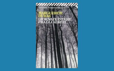 Giornate intere fra gli alberi