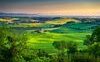 “Traversando la Maremma toscana”: la poesia di Giosuè Carducci dedicata alla terra natia
