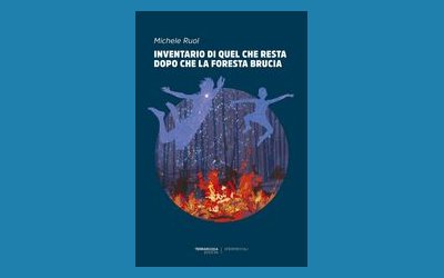 Inventario di quel che resta dopo che la foresta brucia
