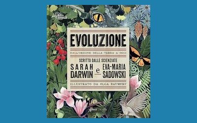 Evoluzione