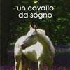 Un cavallo da sogno