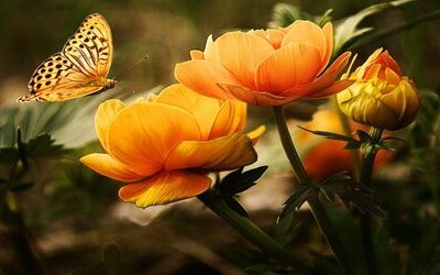 “Maggiolata”: il mese di maggio tra luci e ombre nella poesia di Giosuè Carducci 