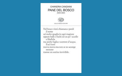 Pane del bosco. 2020 - 2023