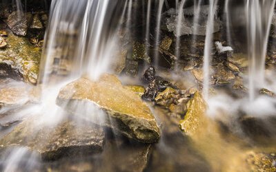 “Acqua”, la poesia di Gabriele D'Annunzio sulla carica vitale della natura