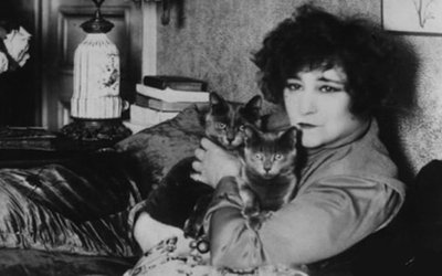 “La gatta” di Colette: una strana storia d'amore felino