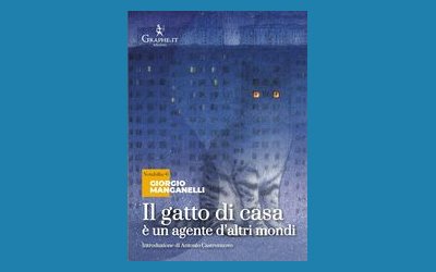 Il gatto di casa è un agente d'altri mondi