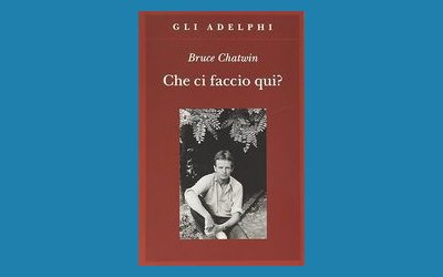 Che ci faccio qui?