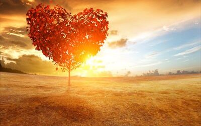 “Tutto nel cuore e tutto il cuore in tutto”: la poesia di Patrizia Valduga