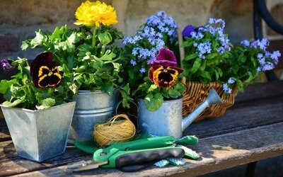 5 libri da regalare a chi ha il pollice verde