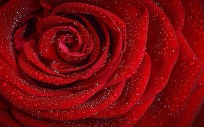 “Questo amore”: la poesia di Jacques Prévert dedicata al mistero dell'amore