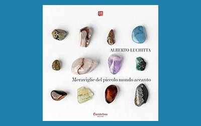 Meraviglie del piccolo mondo accanto