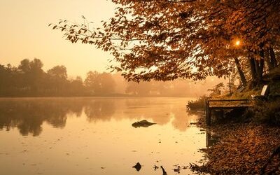 “Sera d'ottobre”: la poesia d'autunno di Giovanni Pascoli