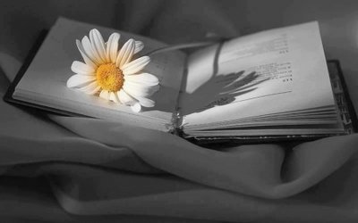 Osservazioni e riflessioni sulla poesia e sul poetare