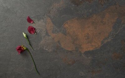 “Poesia illegittima”: l'origine della poetica di Vivian Lamarque