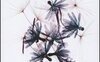 Tentativi di botanica degli affetti