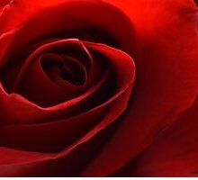 “È maggio”: l'ode alla natura nella poesia di Giovanni Pascoli 