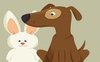 Libri e animali: conosciamo il racconto di Ilaria Colacione con un'intervista tra i suoi protagonisti