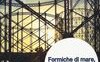 Formiche di mare, pesci di città