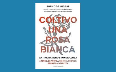 Coltivo una rosa bianca