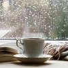 5 libri da leggere in una giornata di pioggia primaverile