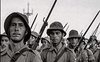 La F.E.B. Força Expedicionária Brasileira in Italia. Documenti e studi 1944-1945