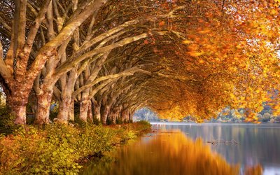 Canzone d'autunno: la poesia di Verlaine che annunciò lo sbarco in Normandia