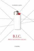 B.I.C. Brevi incontri casuali