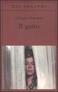 Il gatto