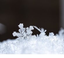 “Fior di neve” di Umberto Saba: la poesia dedicata alle meraviglie della natura e magia della neve