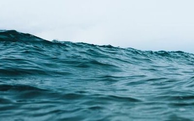 Mare Jonio: fonte di ispirazione per poeti e scrittori