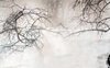 Un gelido inverno