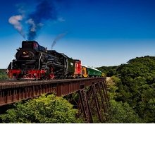 Libri ambientati in treno: ecco cosa leggere in viaggio su rotaia