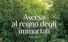 Ascesa al regno degli immortali