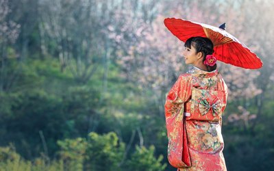 Gli haiku di Matsuo Bashō e Yosa Buson