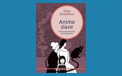 Anime slave. Piccola saga femminile in salsa agrodolce