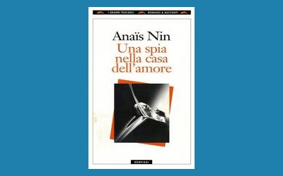 Una spia nella casa dell'amore