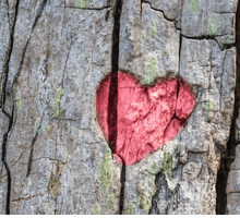 “A chi lo sa”, la poesia di Gesualdo Bufalino sull'impossibilità di definire l'amore