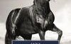 Black Beauty. Autobiografia di un cavallo