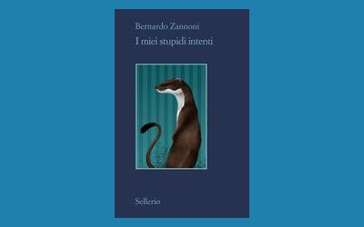 I miei stupidi intenti