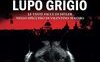 L'ombra del lupo grigio. Le tante facce di Hitler nello specchio di Valentino Mastro