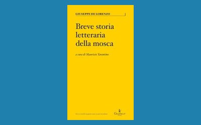 Breve storia letteraria della mosca