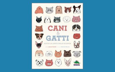 Cani e gatti