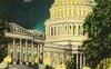 Washington D.C.