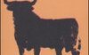 Bullfighting