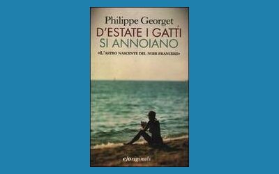 D'estate i gatti si annoiano