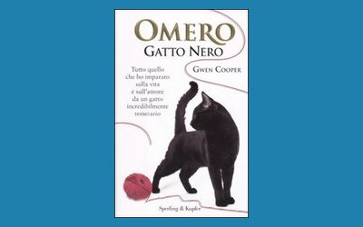 Omero gatto nero